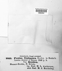 Image Associated With the Occurence
